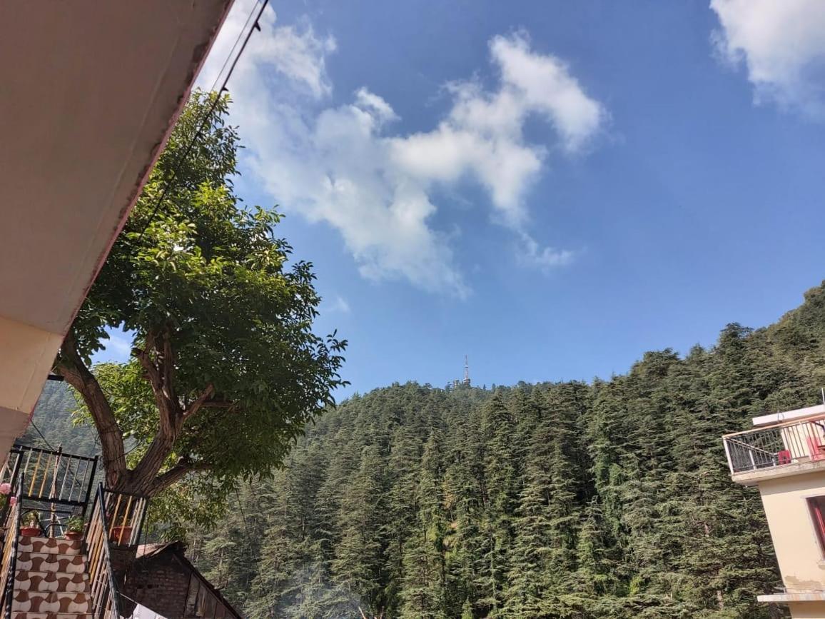 Shimla Pines Homestay Zewnętrze zdjęcie