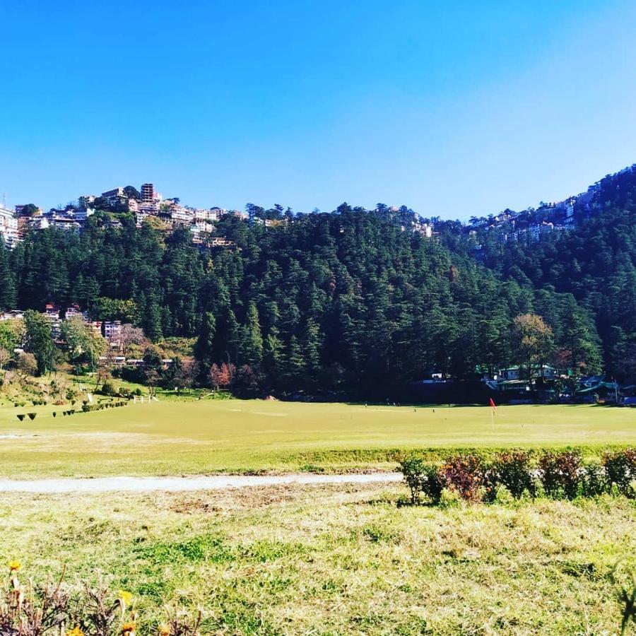 Shimla Pines Homestay Zewnętrze zdjęcie